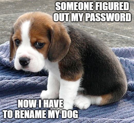 how to create a good password and password safety tips meme