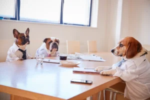 How to increase cybersecurity awareness with leadership dogs