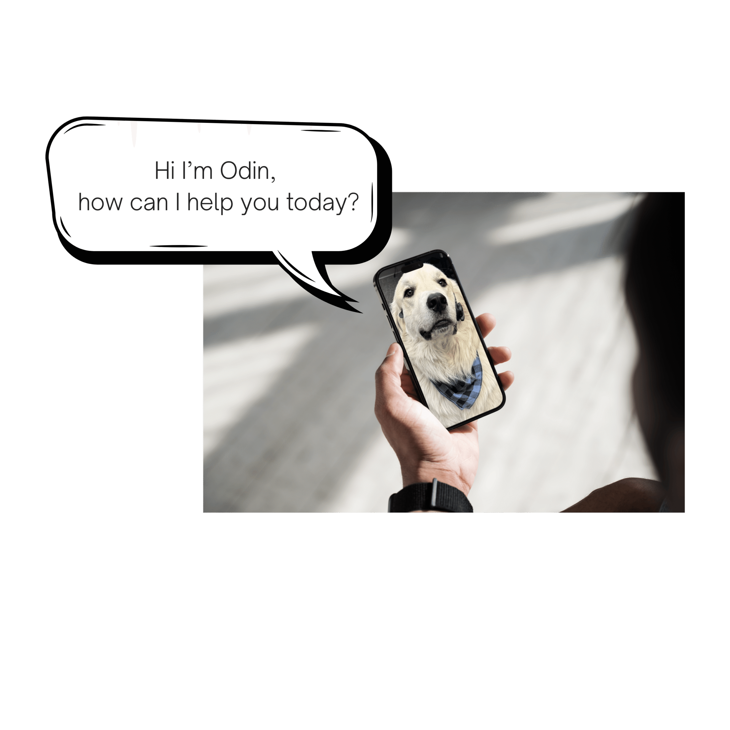 Odin Managed IT Services Denver Dog