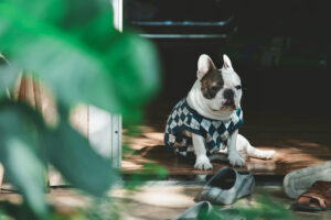 Outsourced IT for SMBs