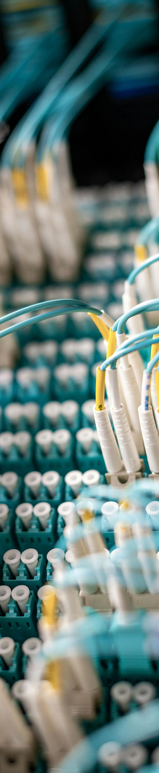 Managed network monitoring cables for small business IT